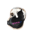 大人のスカルちゃんとマニチョコちゃん（個別スタンプ：7）
