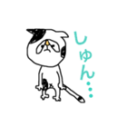 ねこでーす（個別スタンプ：12）
