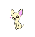 Sweetheart~the Big Ears Chihuahua 2（個別スタンプ：6）