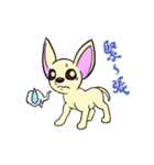 Sweetheart~the Big Ears Chihuahua 2（個別スタンプ：26）