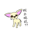 Sweetheart~the Big Ears Chihuahua 2（個別スタンプ：35）