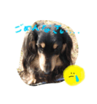 愛犬ライト（個別スタンプ：4）