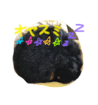 愛犬ライト（個別スタンプ：5）