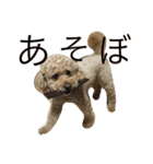 小太郎です（個別スタンプ：1）