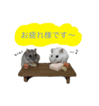 すいきゅんはハムアイドル（個別スタンプ：2）