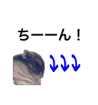 すいきゅんはハムアイドル（個別スタンプ：24）