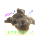 もなもなシュナーズ 1（個別スタンプ：6）