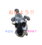もなもなシュナーズ 1（個別スタンプ：7）