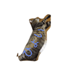 猫猫猫猫猫（個別スタンプ：7）