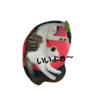 僕、子ねこのロック（個別スタンプ：6）