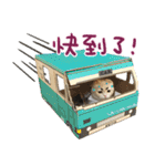 La-Cha-Hua's cats 2（個別スタンプ：19）