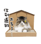 La-Cha-Hua's cats 2（個別スタンプ：27）