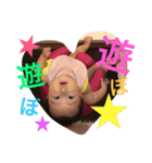 かずぽん②（個別スタンプ：6）