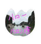 リトルハノイ（個別スタンプ：1）