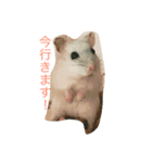はむず（個別スタンプ：3）