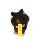 はむず（個別スタンプ：4）
