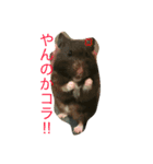 はむず（個別スタンプ：5）