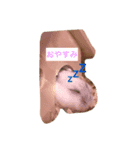 はむず（個別スタンプ：7）