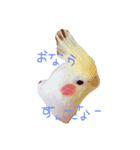 ゆいとトトとまーし。（個別スタンプ：3）