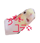 ゆいとトトとまーし。（個別スタンプ：5）