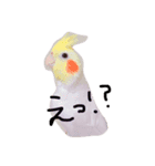 ゆいとトトとまーし。（個別スタンプ：8）