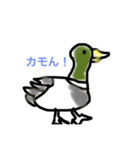 ダジャレシリーズ（個別スタンプ：20）