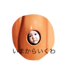 りりだよ（個別スタンプ：24）