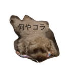 もち太郎（個別スタンプ：2）