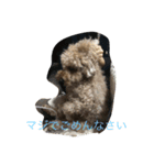 もち太郎（個別スタンプ：13）