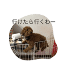 もち太郎（個別スタンプ：15）