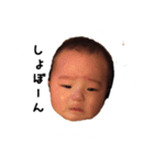 たいがくん（個別スタンプ：1）