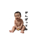 たいがくん（個別スタンプ：14）