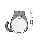 Uchi-neko -うちねこ-（個別スタンプ：1）