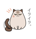 Uchi-neko -うちねこ-（個別スタンプ：3）