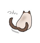 Uchi-neko -うちねこ-（個別スタンプ：9）