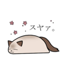 Uchi-neko -うちねこ-（個別スタンプ：14）
