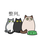 Uchi-neko -うちねこ-（個別スタンプ：15）