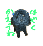 トイ・プー（個別スタンプ：3）