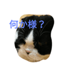 のんびりパンちゃん（個別スタンプ：2）