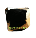 のんびりパンちゃん（個別スタンプ：4）