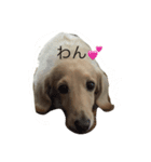 クリームダックス（個別スタンプ：2）