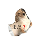 クリームダックス（個別スタンプ：7）