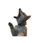 柴犬はちの 俺にも喋らせろ！ 3.5.8（個別スタンプ：2）