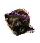 ねこねこずくし（個別スタンプ：8）