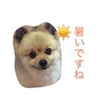 こまち。（個別スタンプ：1）