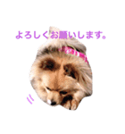 こまち。（個別スタンプ：3）