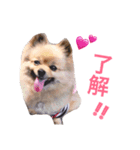 こまち。（個別スタンプ：7）