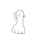Alpaca chan chan（個別スタンプ：2）