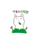 Alpaca chan chan（個別スタンプ：11）