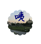 beautiful pictures:WOW（個別スタンプ：5）